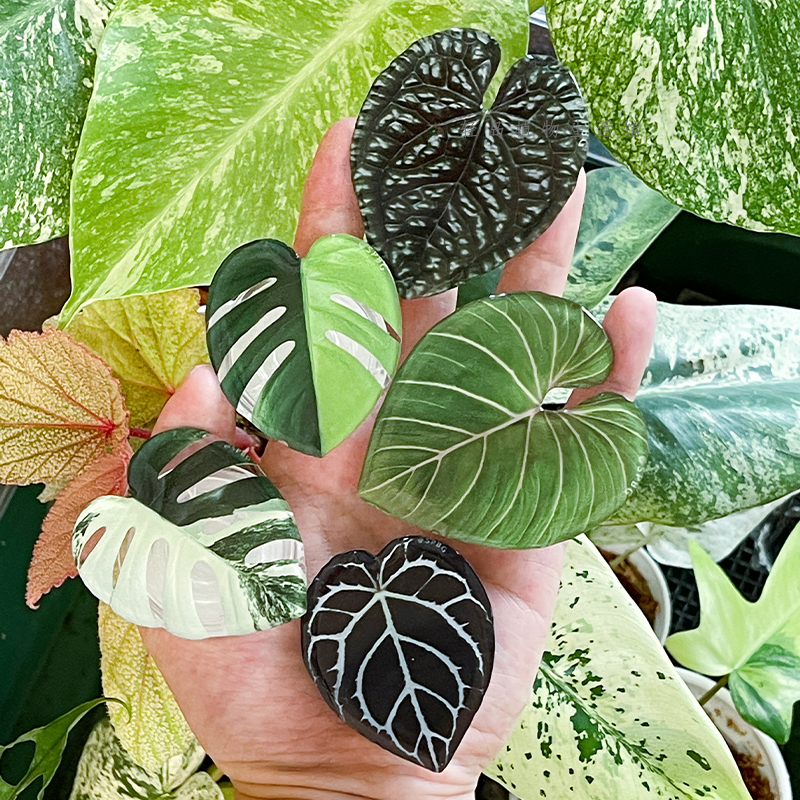 Tech Accessories Phone - Cute Glossy Popular Simulation Leaf Phone