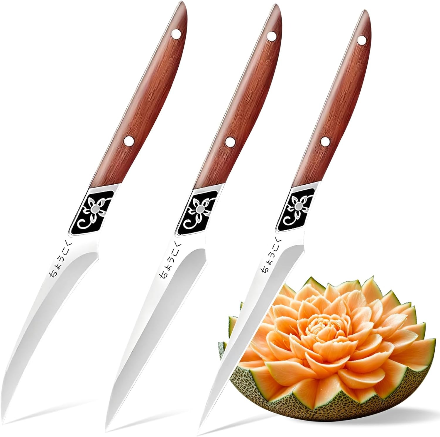 High Tech Kitchen Accessories - High quality chef carving knife set,