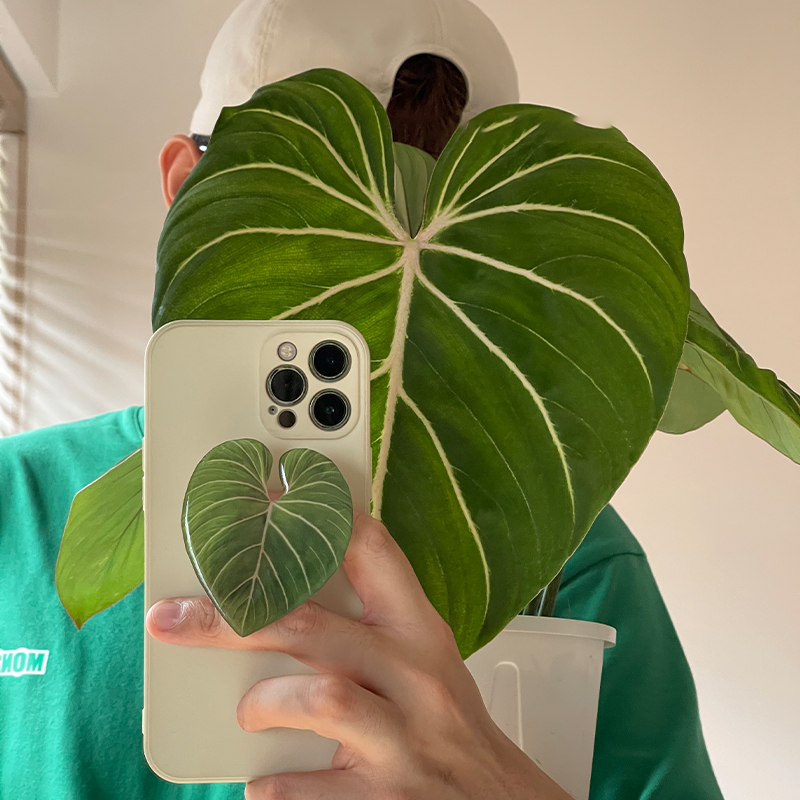 Cute Glossy Popular Simulation - Tech Accessories Phone 评论和价格
